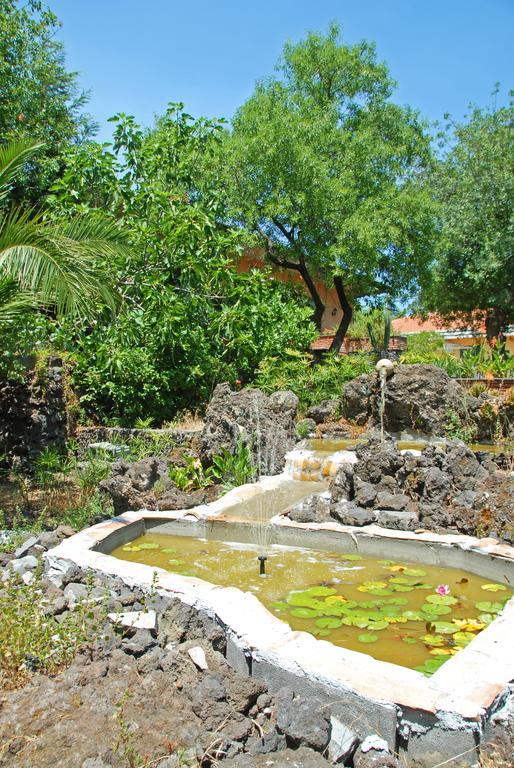 Sotto Il Vulcano Nicolosi Εξωτερικό φωτογραφία